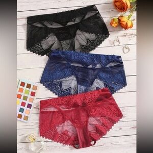*NEW* Plus Size 3-pack Lace Sheer Panties